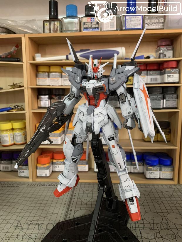 Picture of AeroModelBuild Ex Impulse Gundam Built & Painted 1/100 Model Kit