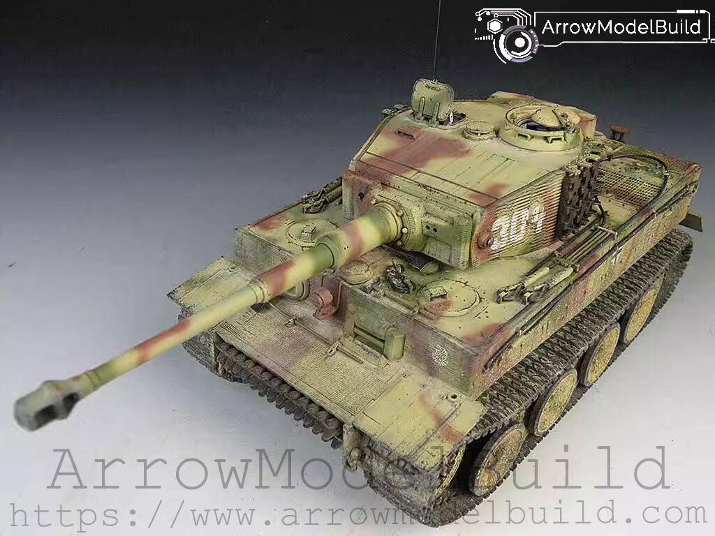 Picture of AeroModelBuild Dragon Tiger I Tank Vehicle Built & Painted 1/35 Model Kit