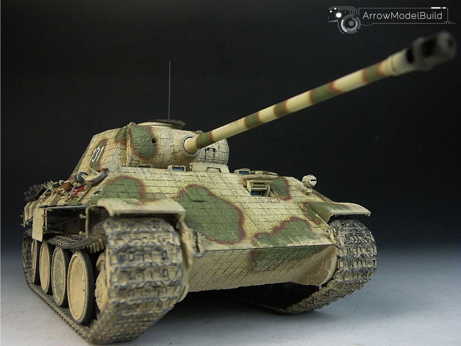 Picture of AeroModelBuild Panther D Tank with Zimmerit Built & Painted 1/35 Model Kit