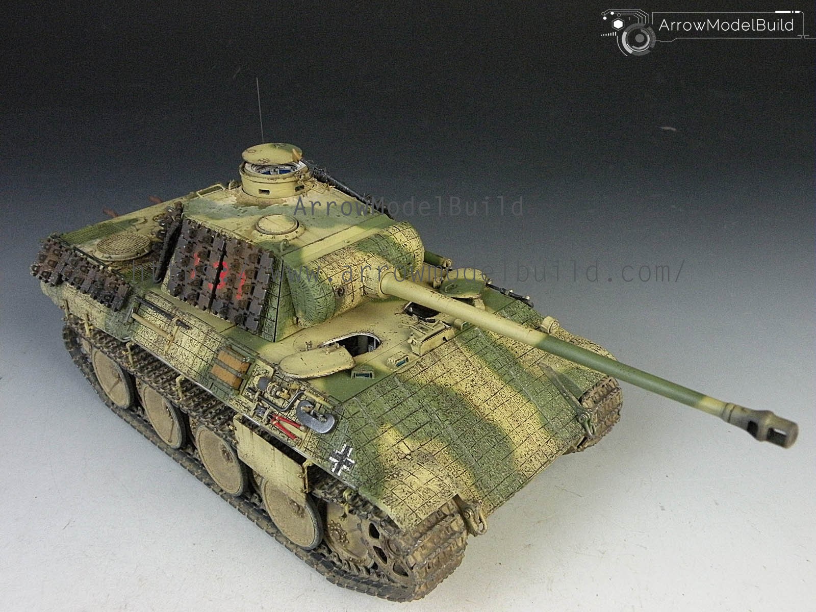 Picture of AeroModelBuild Panther D Tank with Zimmerit Built & Painted 1/35 Model Kit