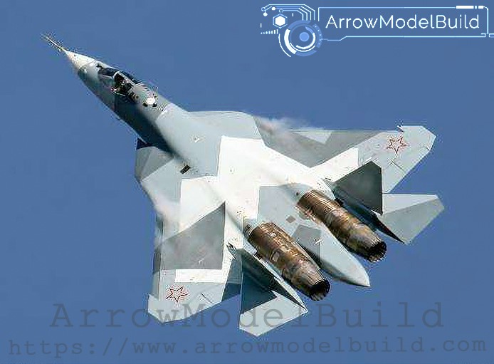 Picture of AeroModelBuild Russian T-50 Fighter Jet Built & Painted 1/72 Model Kit