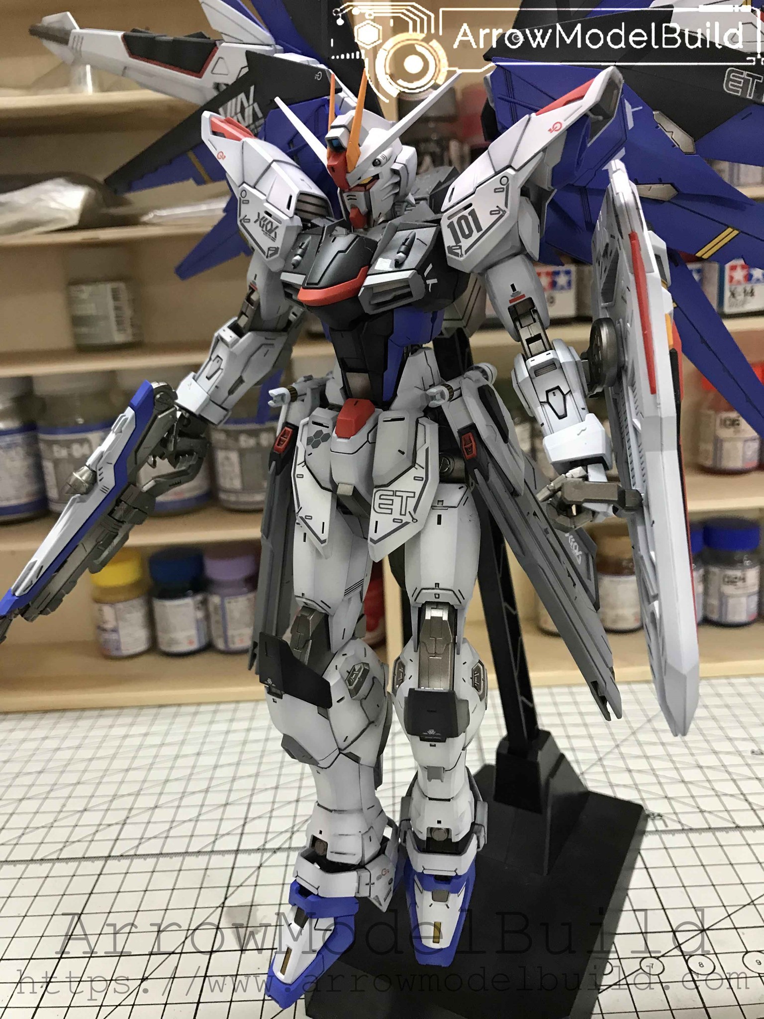 Picture of AeroModelBuild Freedom Gundam Ver 2.0 Built & Painted MG 1/100 Model Kit