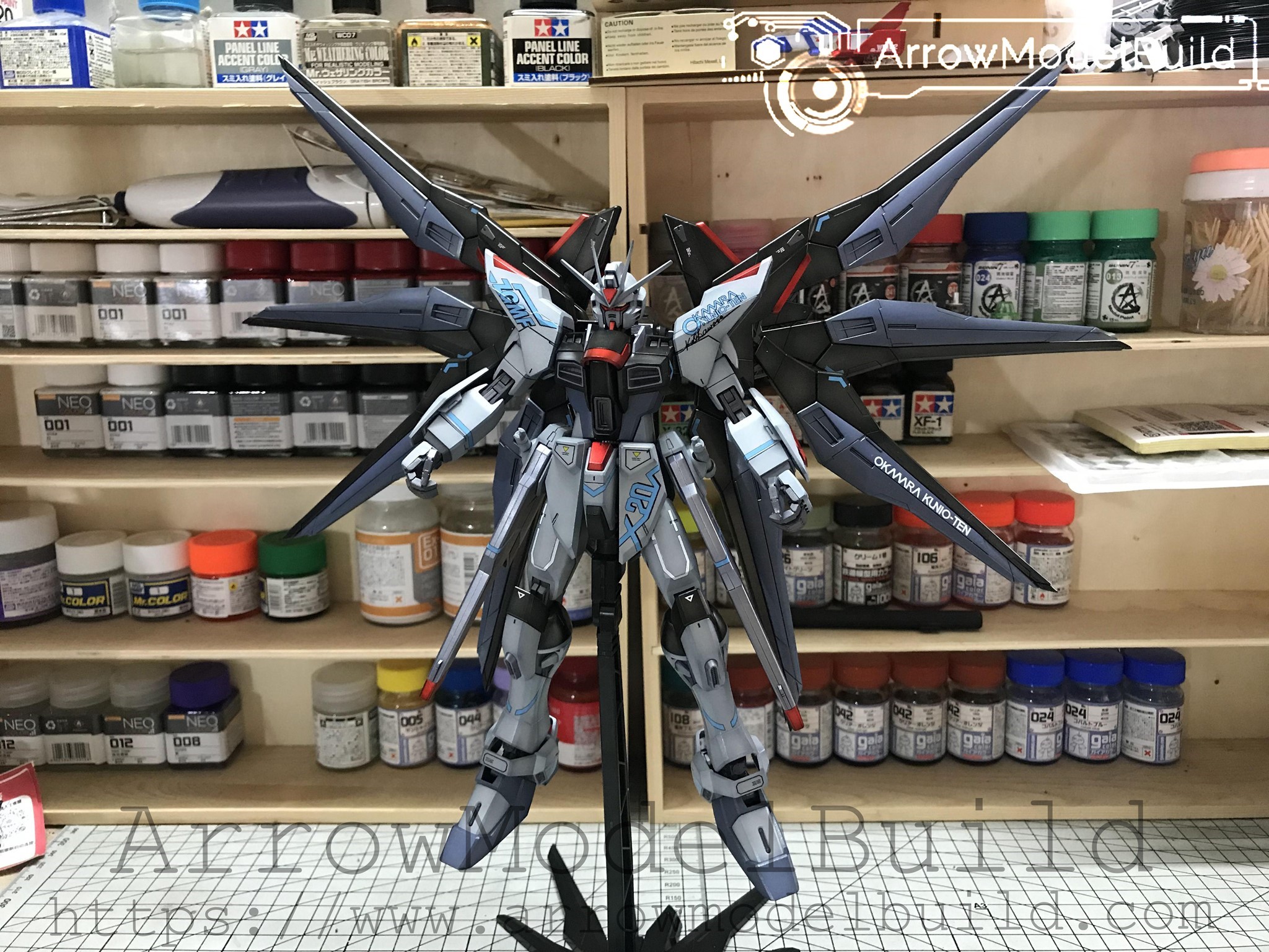 Picture of AeroModelBuild Strike Freedom (Kunio Okawara Ver) Built & Painted MG 1/100 Model Kit