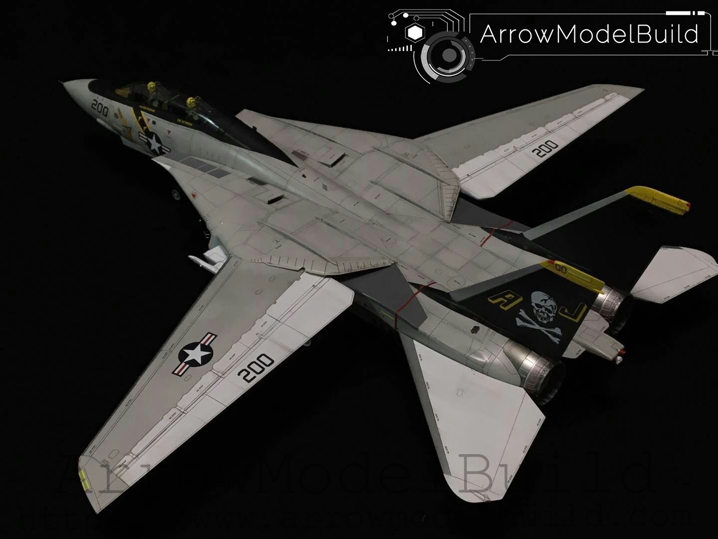 Picture of AeroModelBuild F-14 Tomcat Built & Painted 1/48 Model Kit