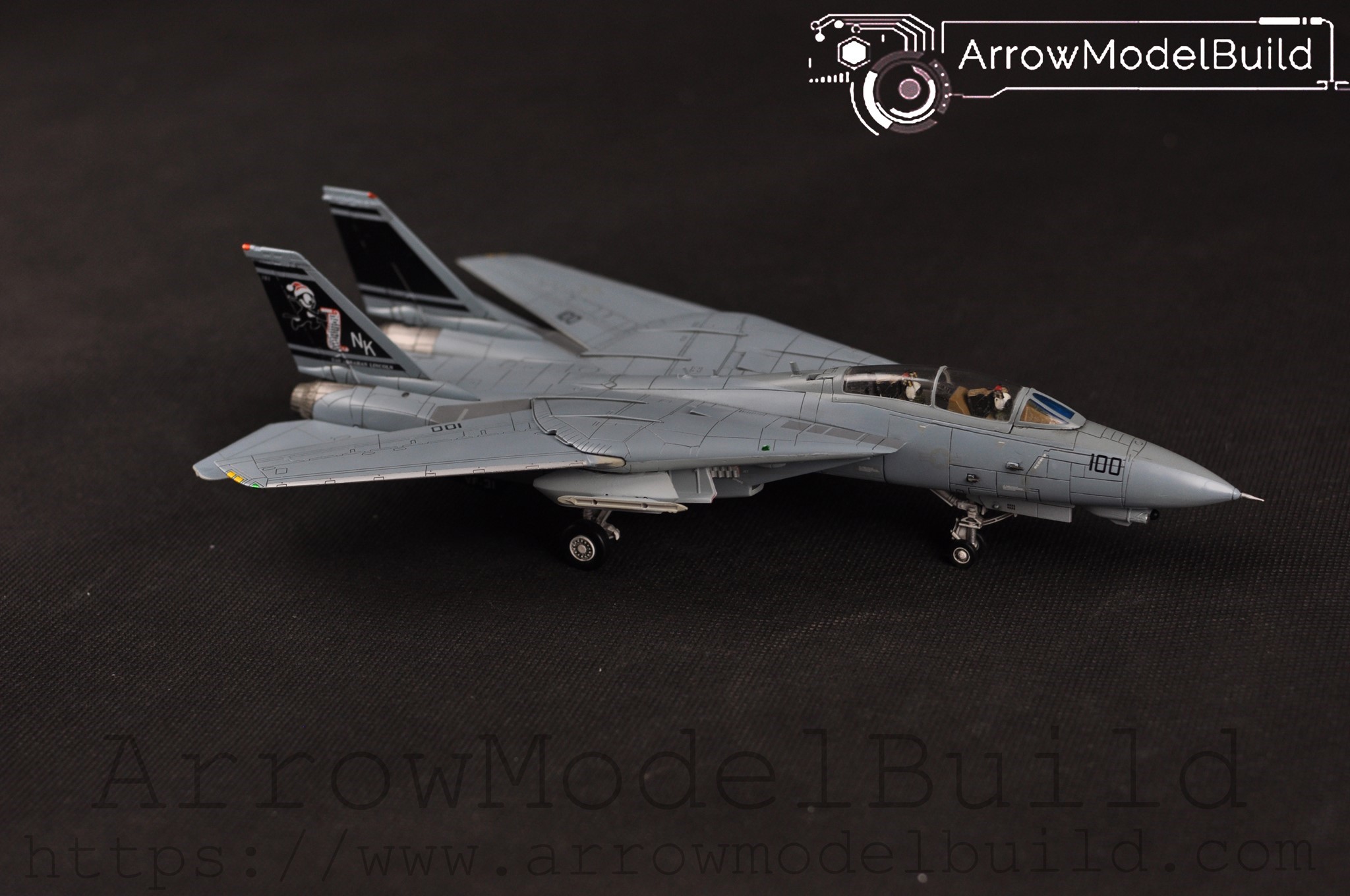 Picture of AeroModelBuild F-14 VF-31 Tomcat Squadron Version 2 Built & Painted 1/72 Model Kit