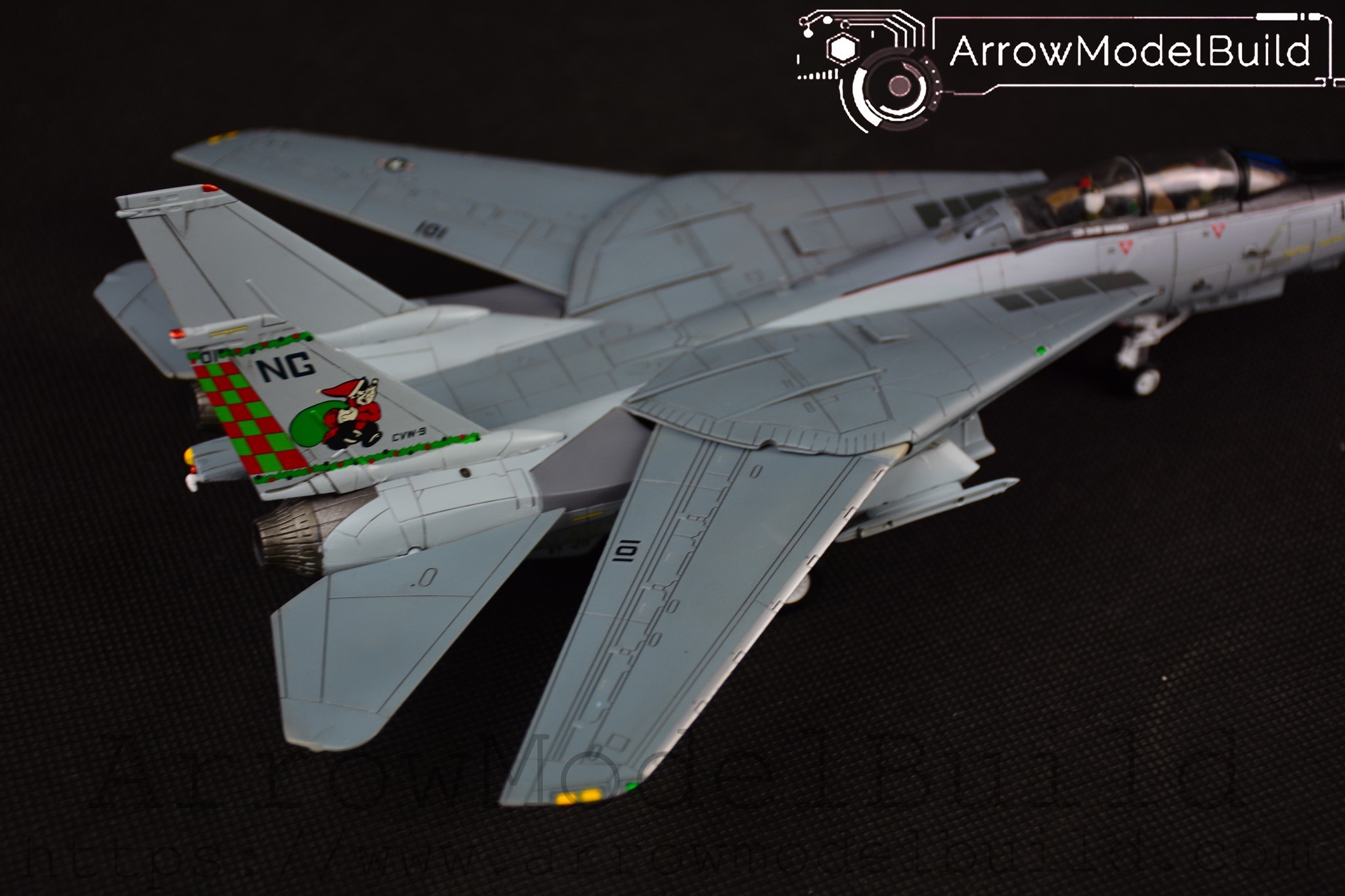 Picture of AeroModelBuild F-14 F-211 Fighting Checkmates Built & Painted 1/72 Model Kit